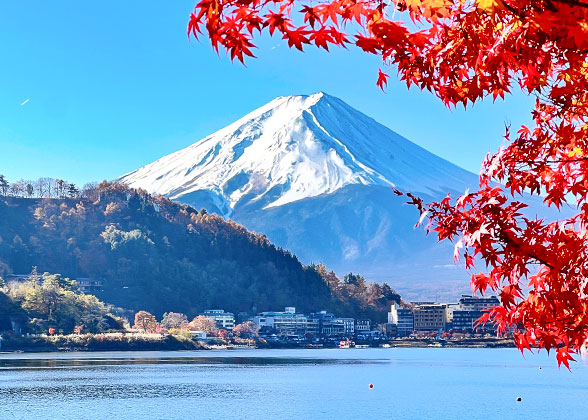 Mt. Fuji